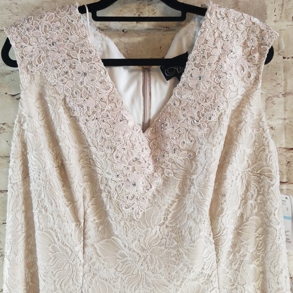 Lace Sheath Evening Gown - Picture 3 of 5